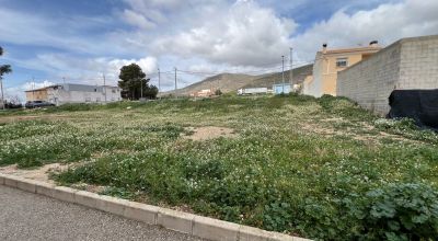 Land - Sale - Hondon de los Frailes - Hondon de los Frailes