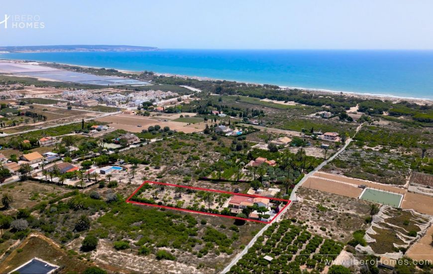 Sale - M - La Marina