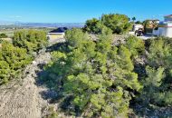 Sale -  - San Miguel de Salinas - 