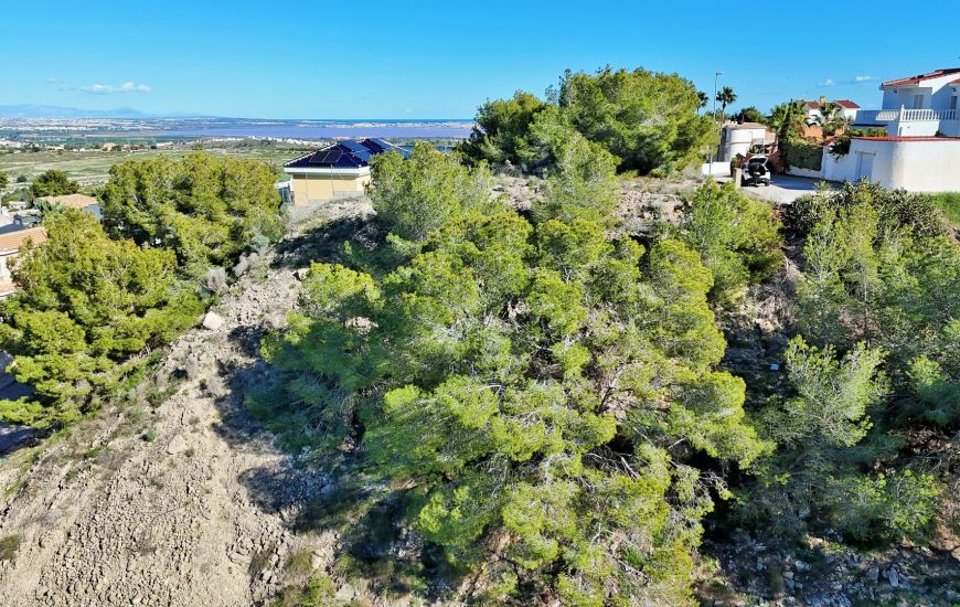 Sale -  - San Miguel de Salinas - 