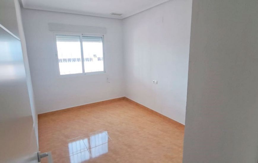 Sale - Finca - Catral