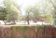Sale - Bungalow - Orihuela Costa