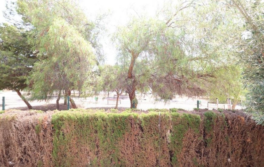 Sale - Bungalow - Orihuela Costa