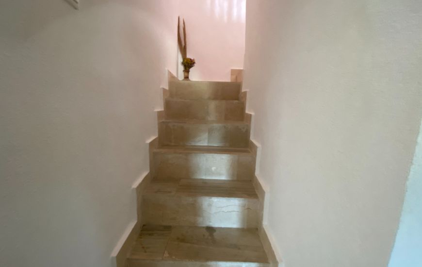 Sale - Finca - Sax