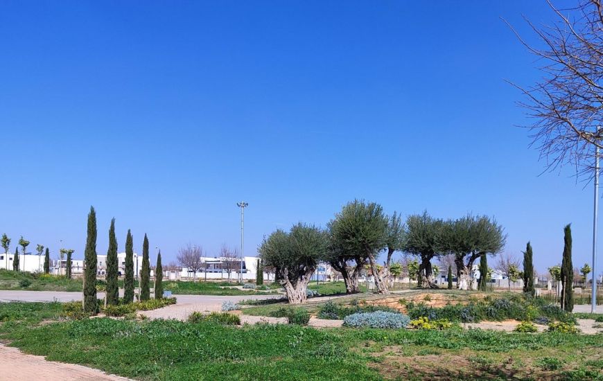 New Build - Apartments - Torre Pacheco