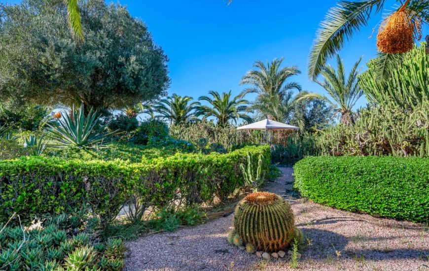 Venta - Casa Rural - Los Montesinos