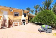 Sale - Finca - Catral