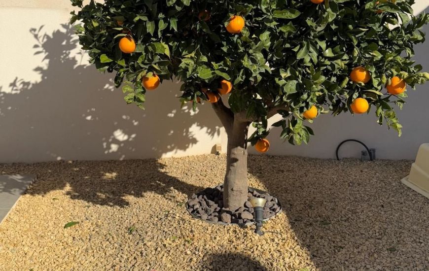 Sale - Villa - Ciudad Quesada