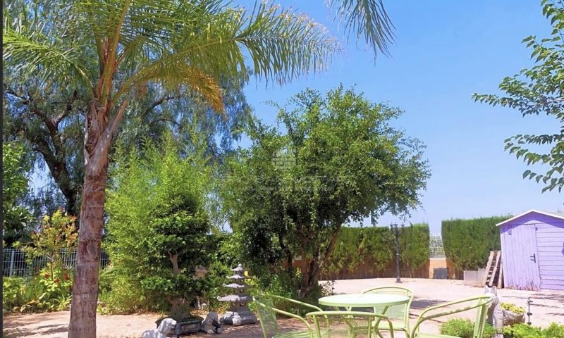 Venta - Apartamentos - 