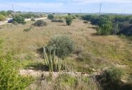 Sale - Country Property - 