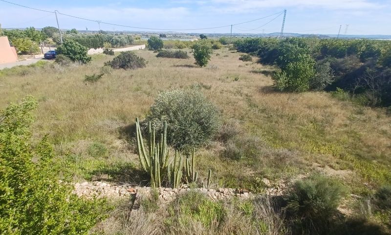 Sale - Country Property - 
