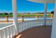 Sale - Finca - Catral