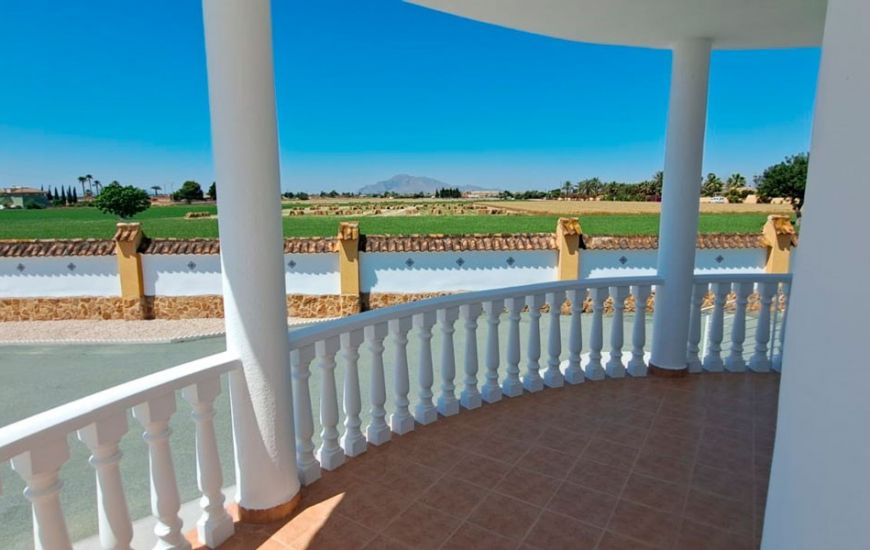 Sale - Finca - Catral