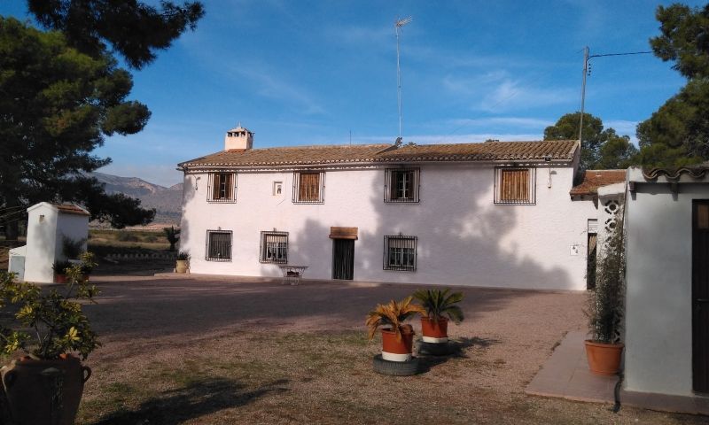 Sale - Finca - Aspe