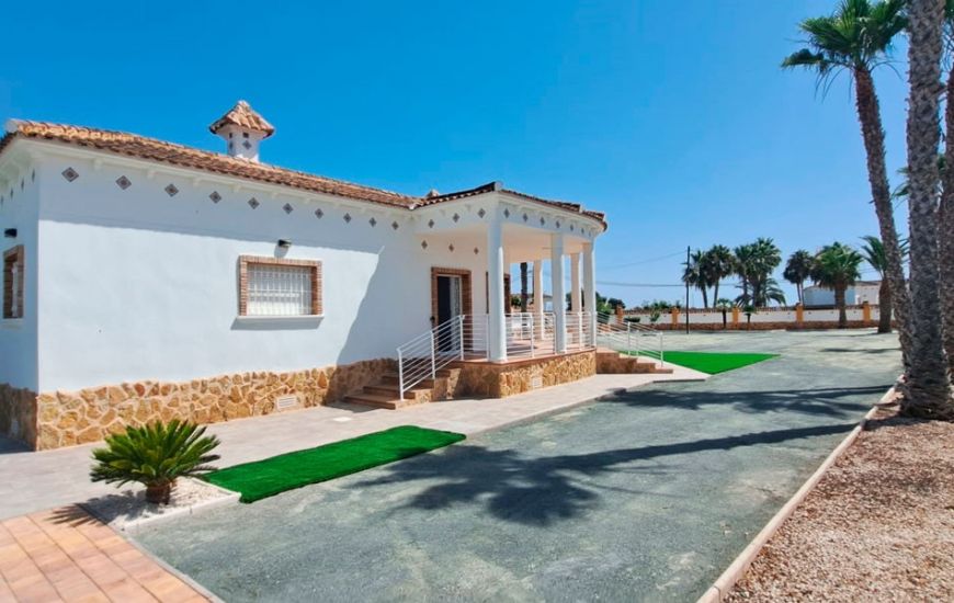 Sale - Finca - Catral