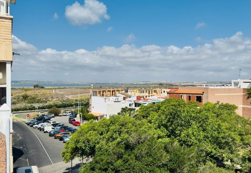 Sale - Apartments - La Mata
