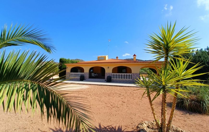 Venta - Casa Rural - Aspe