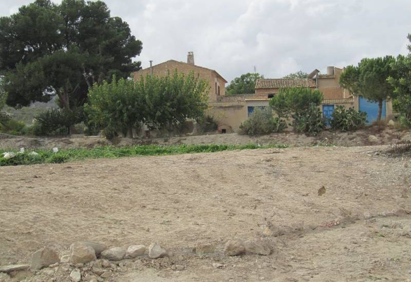 Sale - Land - Novelda
