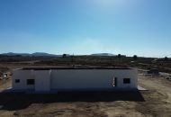 Nueva construcción  - Casa Rural - Pinoso