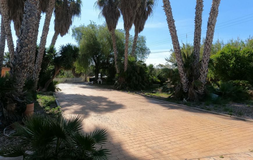 Sale - Villa - Dolores