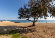 Venta - Apartamentos - Torrevieja