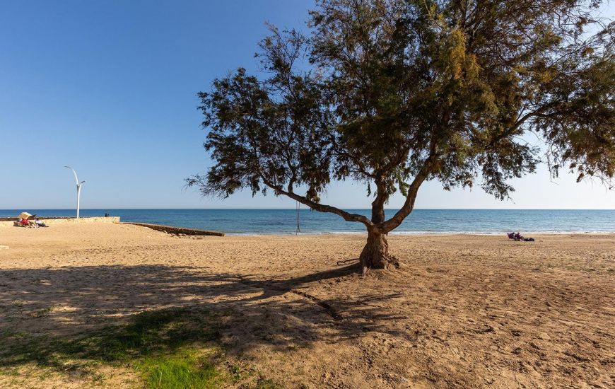 Venta - Apartamentos - Torrevieja