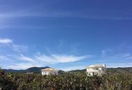New Build - Villa - Pinoso