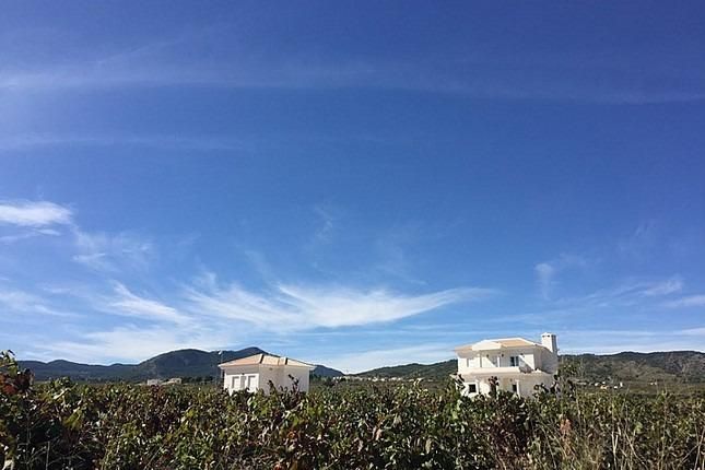 New Build - Villa - Pinoso