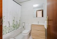 Sale -  - San Miguel de Salinas - 