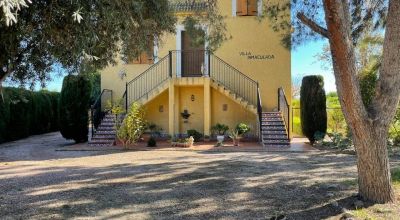 Apartments - Sale - Daya Nueva - Daya Nueva