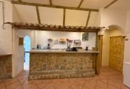 Venta - trespaso - Mil Palmerales - Mil Palmeras