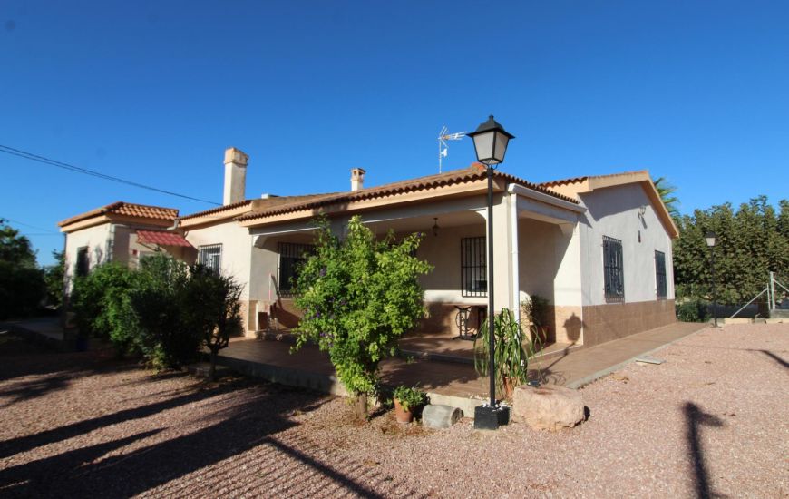 Sale - Finca - Crevillente