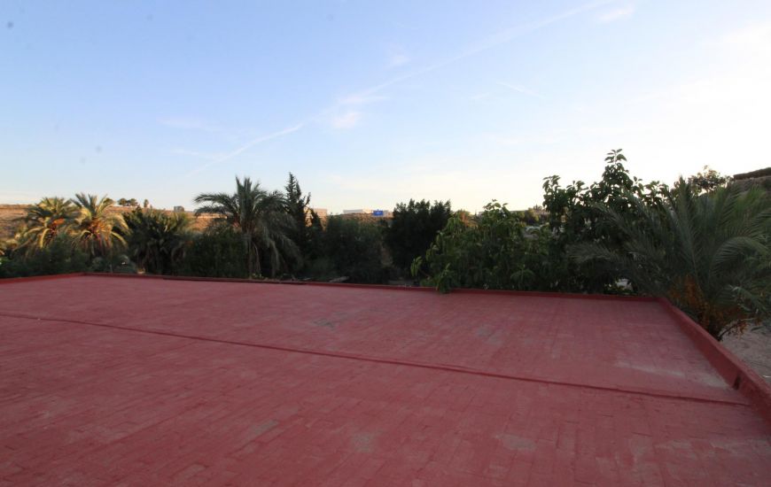 Sale - Finca - Elche