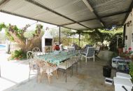 Sale - Finca - Dolores