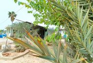 Sale - Villa - Hondon de los Frailes