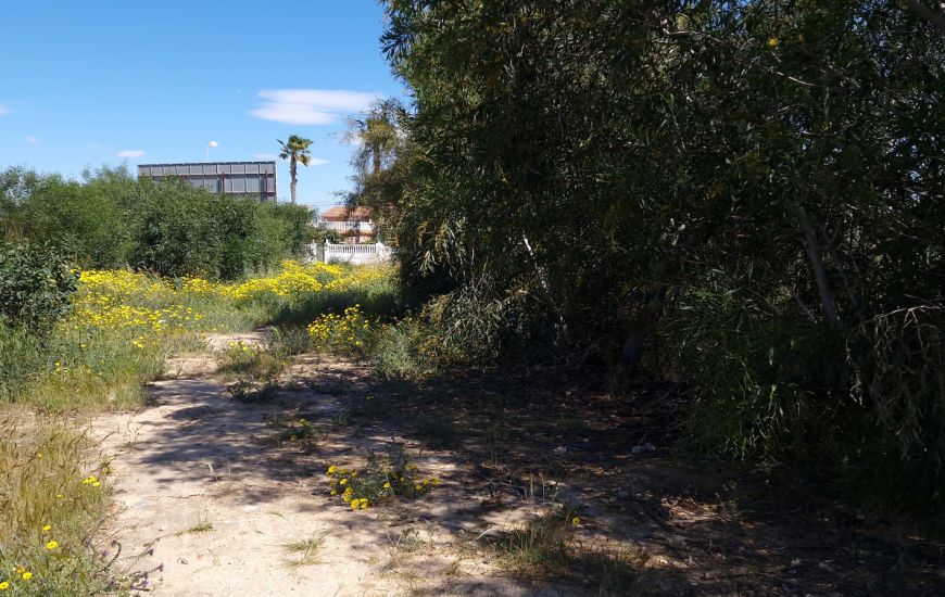 Venta - Building Plot - Torrevieja