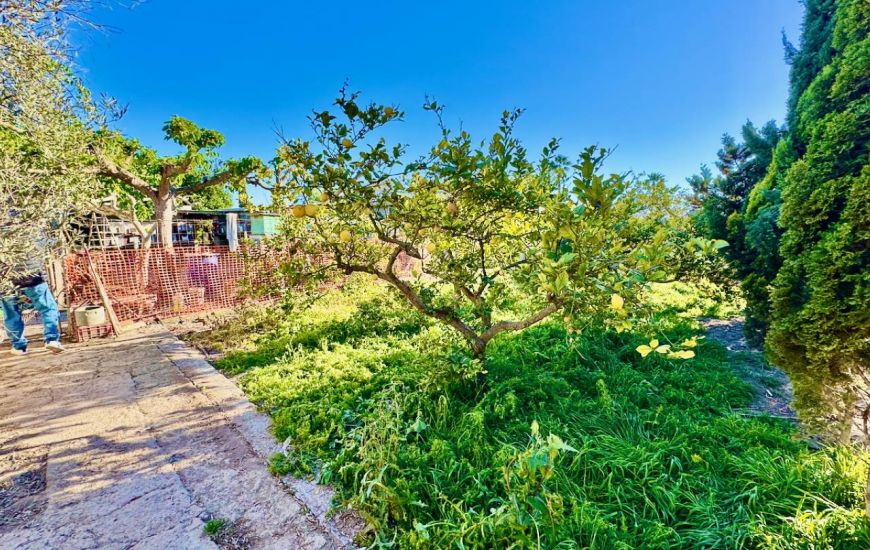 Sale - Country Property - Guardamar del Segura