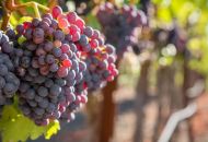 Venta - Comercial - Albacete Venta - Comercial - Albacete