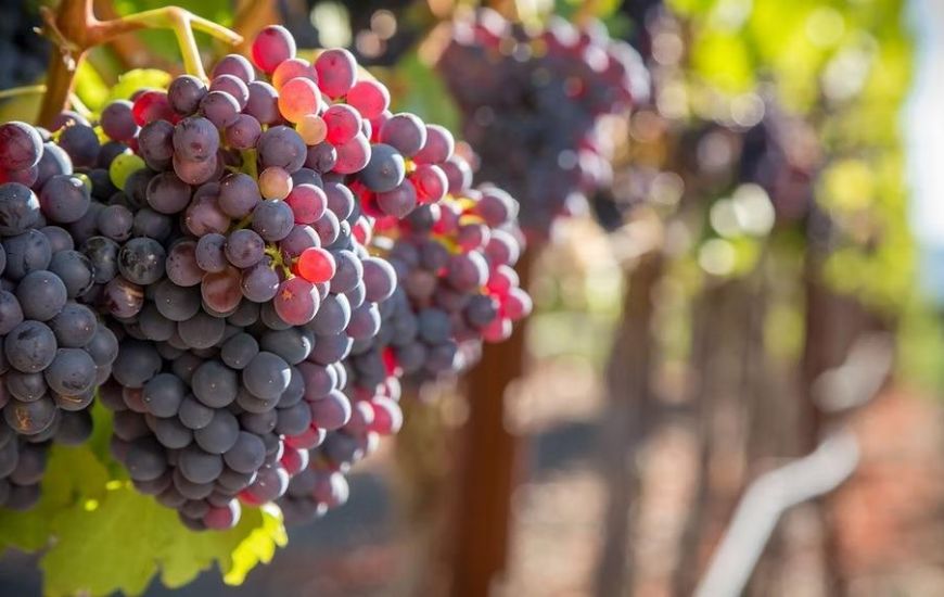 Venta - Comercial - Albacete Venta - Comercial - Albacete