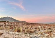 Sale - Land - Novelda