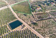 Sale - Land - Crevillente - Crevillent