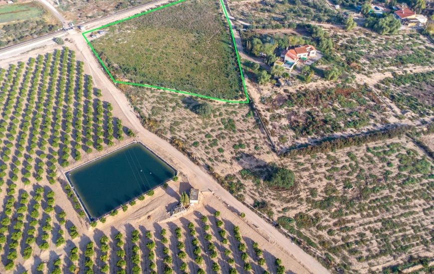 Sale - Land - Crevillente - Crevillent