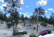 Sale - Villa - El Raso