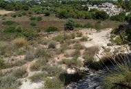 Sale - Land - Pinar de Campoverde - Pinar De Campoverde