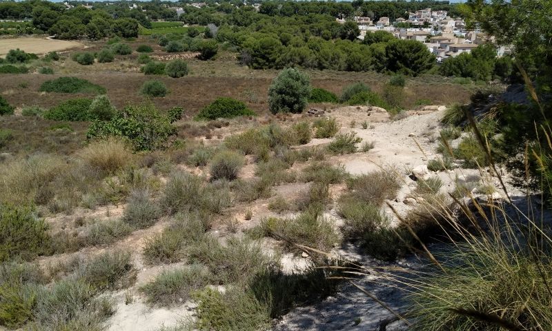 Sale - Land - Pinar de Campoverde - Pinar De Campoverde