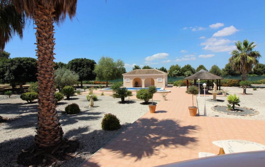 Sale - Villa - Daya Nueva