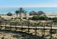 Sale - Apartments - 