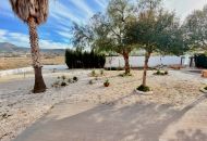 Sale - Finca - Hondon de los Frailes