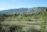 Venta - Casa Rural - Salinas