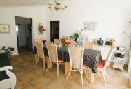 Sale - Finca - Dolores